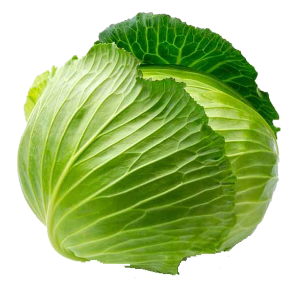 Cabbage Green